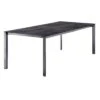 Sieger Gartentisch 220x100cm Aluminium/Polytec Eisengrau/Zement Anthrazit -Garten Leben 1104766 1