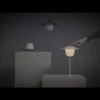 Blomus Ani Lamp Mobile LED-Leuchte Aluminium Warm Grey -Garten Leben 1212346 v 1023