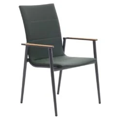 Interliving 7001 Hochlehner Aluminium/Textilene Anthrazit/Grün