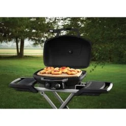 Napoleon Pizzastein Für TravelQ -Garten Leben napoleon pizzastein fuer travelq 1464697 3