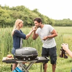 Napoleon Gasgrill TravelQ 285X Mit Klappbaren Wagen Schwarz -Garten Leben napoleon travelq 285x gasgrill mit klapbaren wagen schwarz 972865 3