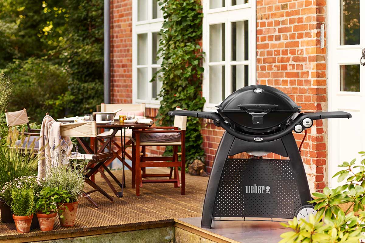 Titelseite -Garten Leben Elektrogrills genau richtig fuer den Winter